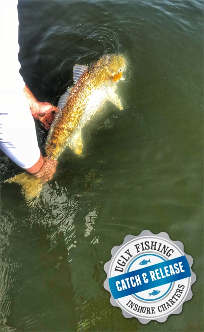 man holding bull redfish by the tail in the water